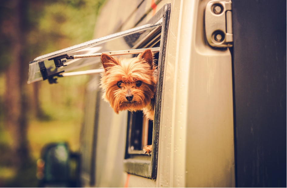 RV Pet Policy